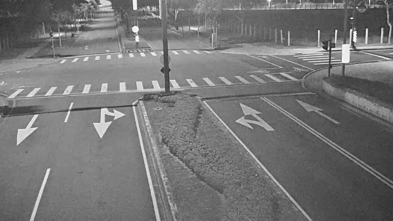 凱旋路/黎明路(右側車流往經貿五路)